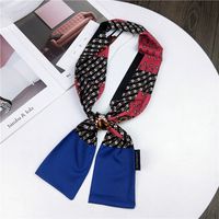 Nouveau Petit Foulard De Soie Femmes De Printemps Et Automne Longue Écharpe Coréenne Mince Étroite Écharpe D'hiver Écharpe Cravate Décoration sku image 29