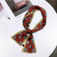 Polka Dot New Double-sided Boxer Long Scarf Women's Korean-style Spring And Autumn All-match Wrist Strap Ribbon Hair Band Fashion sku image 3