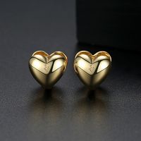 Alloy Korea Sweetheart Earring  (platinum-t02e15)  Fashion Jewelry Nhtm0645-platinum-t02e15 sku image 2
