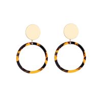 Acrylic Fashion Geometric Earring  (leopard-1)  Fashion Jewelry Nhqd6250-leopard-1 sku image 1
