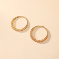 Corée Mode Nouvel Alliage Géométrique Simple Rétro Boucles D&#39;oreilles Exagérées En Gros Nihaojewely sku image 1