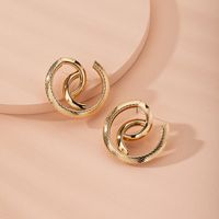Snake-shaped High-quality Abstract Exaggerated Trend Street Earrings Wholesale Nihaojewelry main image 1