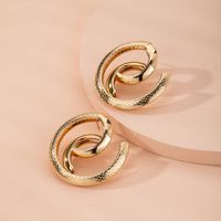 Snake-shaped High-quality Abstract Exaggerated Trend Street Earrings Wholesale Nihaojewelry main image 3
