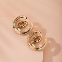 Snake-shaped High-quality Abstract Exaggerated Trend Street Earrings Wholesale Nihaojewelry main image 4
