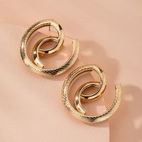 Snake-shaped High-quality Abstract Exaggerated Trend Street Earrings Wholesale Nihaojewelry main image 5