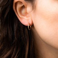 Fashion Simple Gold-plated 316l Titanium Steel Earrings Wholesale Nihaojewelry main image 1