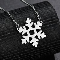 Titanium&stainless Steel Fashion Geometric Necklace  (snowflake Steel) Nhhf1199-snowflake-steel sku image 1