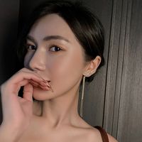 Boucles D&#39;oreilles Coréennes Longues En Diamant Brisé En Zircon Pour Femmes main image 5