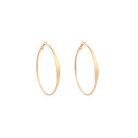 Geometric Big Circle Exaggerated Simple Earrings Wholesale sku image 1