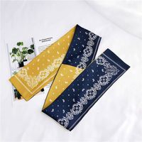 New Korean Style Boxer Small Scarf Silk Scarf Women's Spring And Autumn All-match Ribbon Wrist Strap Ribbon Hair Band Fashion Small Silk Scarf sku image 4