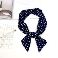 2020 Nouveau Petit Foulard De Soie Écharpe Femmes Automne Et Hiver Coréenne Style À La Mode Tous-correspondant Écharpe Automne Longue Double-couche Sac Accessoires sku image 11