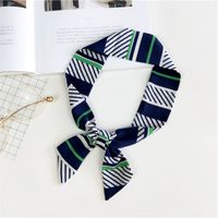 2020 Nouveau Petit Foulard De Soie Écharpe Femmes Automne Et Hiver Coréenne Style À La Mode Tous-correspondant Écharpe Automne Longue Double-couche Sac Accessoires sku image 18