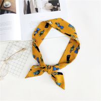 2020 Nouveau Petit Foulard De Soie Écharpe Femmes Automne Et Hiver Coréenne Style À La Mode Tous-correspondant Écharpe Automne Longue Double-couche Sac Accessoires sku image 19