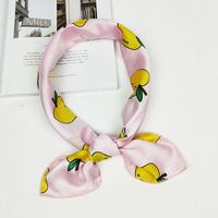 Alloy Korea  Scarf  (apple Powder) Nhmn0115-apple-powder sku image 1