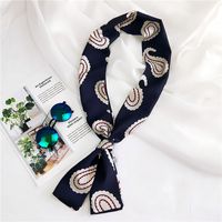 New Korean Style Long Small Silk Scarf Women's Spring And Autumn Summer Double-sided Versatile Small Scarf Professional Scarf Scarf Wholesale sku image 3