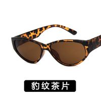 Plastic Fashion  Glasses  (bright Black Ash) Nhkd0413-bright-black-ash sku image 7