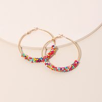 Ig Style Alloy Knitting Miyuki Beads Women's Hoop Earrings main image 6