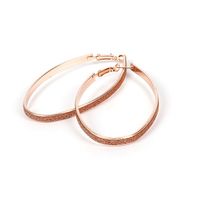 Hot-selling Geometric Oval Fashion Earrings Set For Women Wholesale main image 5