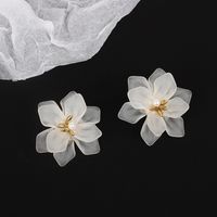 Korea White Frosted Resin Flower Bohemian Style Earrings Wholesale Nihaojewelry main image 6