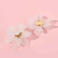 Korea White Frosted Resin Flower Bohemian Style Earrings Wholesale Nihaojewelry main image 4