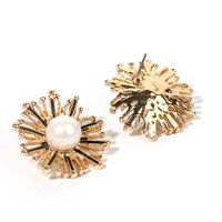 Fashion Design Jewelry Alloy Dandelion Boho Style Flower Pearl Earrings For Women main image 4