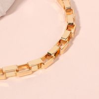 New Fashion Retro Wild Clavicle Exaggerated Short Box Chain Necklace For Women main image 3