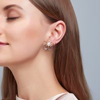 New Sweet Flower Beautiful Fairy Pearl Flower Women's Silver Needle Alloy Earrings Wholesale main image 3
