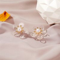 New Sweet Flower Beautiful Fairy Pearl Flower Women's Silver Needle Alloy Earrings Wholesale main image 4