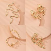 الرجعية مبالغ فيه الأفعى على شكل التنين على شكل الأزياء الإبداعية أقراط الجملة Nihaojewelry main image 1