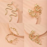 Retro Exaggerated Snake-shaped Dragon-shaped Fashion Creative Earrings Wholesale Nihaojewelry main image 1