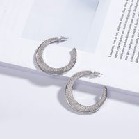 Hot Sale Korea C-shaped Circle Earrings Wholesale Nihaojewelry main image 5