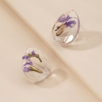Fashion Simple Dried Flower Cute Flower Resin Drop Earrings For Women main image 1