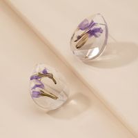 Fashion Simple Dried Flower Cute Flower Resin Drop Earrings For Women main image 2