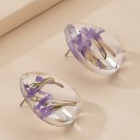 Fashion Simple Dried Flower Cute Flower Resin Drop Earrings For Women main image 5