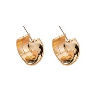Korea Simple Style Metal  Geometric Trend Earrings Wholesale Nihaojewelry main image 6