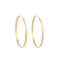 Fashion Exaggerated Simple Extreme Round Retro Simple Geometric Circle Earrings For Women sku image 2