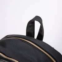 New Trend Small Backpack Soft Zipper Backpack Korean Fashion All-match Women's Bag Wholesale main image 3
