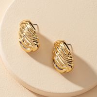 Popular New A Pair Of Metal Texture Earrings Wholesale main image 4