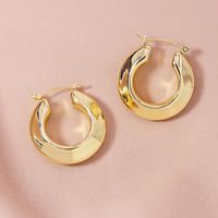 Popular 1 Pair Of Metal Ear Hoop Hot Selling Earrings Wholesale main image 2