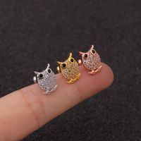 Ear Cartilage Rings & Studs Ethnic Style Cartoon Character 316 Stainless Steel  Copper Zircon main image 6