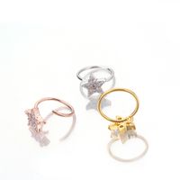 Fashion Micro-inlaid Zircon Nose Ring Tragus Ear Bone Piercing Earrings Wholesale main image 4