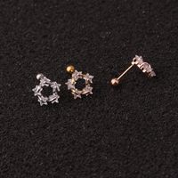 Ear Cartilage Rings & Studs Exaggerated Animal 316 Stainless Steel  Copper main image 5