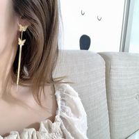 Fashion Long Korean Fairy Fashion Wild Butterfly Tassel Alloy Earrings main image 4