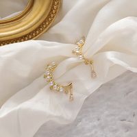 Fashion S925 Silver Needle Pearl Rhinestone Semicircle New Drop Long Fashion Earrings For Women sku image 1