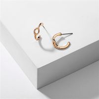 Hot Selling Fashion Environmentally Friendly Alloy Chain Rope Knotted Earrings Wholesale sku image 1