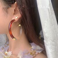 Fashionable New Large Circle Transparent Color Brown Double Color Matching Wild Earring For Women main image 3