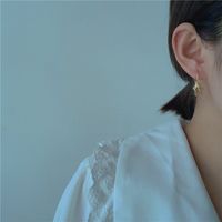 Korea's New Three-dimensional Metal Simple Fashion Earrings main image 4