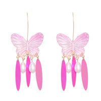 Neue Mode Geometrische Acrylplatte Schmetterling Wassertropfen Perlenohrringe Für Frauen main image 5