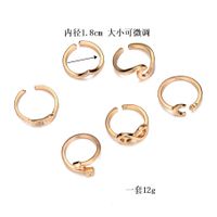 Hot Sale Geometric Alloy Ring Six-piece Leaf Ring Set Wholesale main image 4