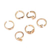 Hot Sale Geometric Alloy Ring Six-piece Leaf Ring Set Wholesale main image 3